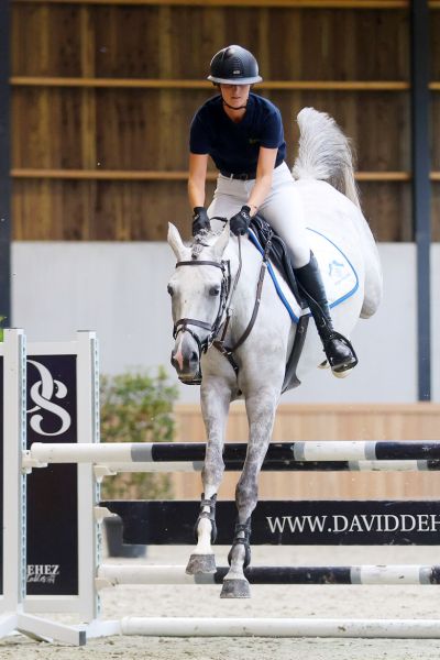 Joconde des Luthiers