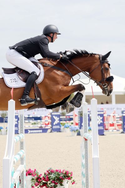 Quilina v Merelsnest