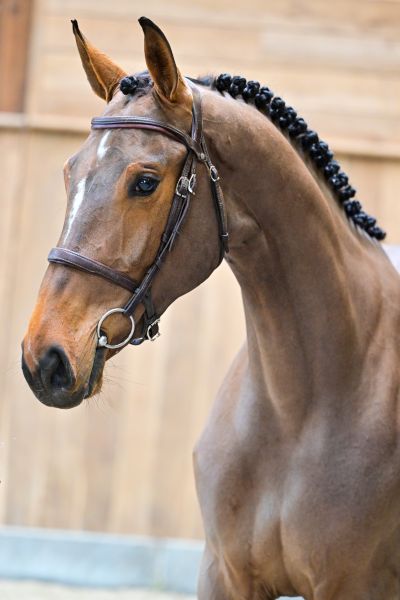 Rosie du Pont-Rihen 1