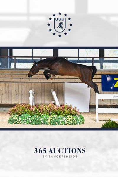 D&eacute;lire D'Anges Z 2